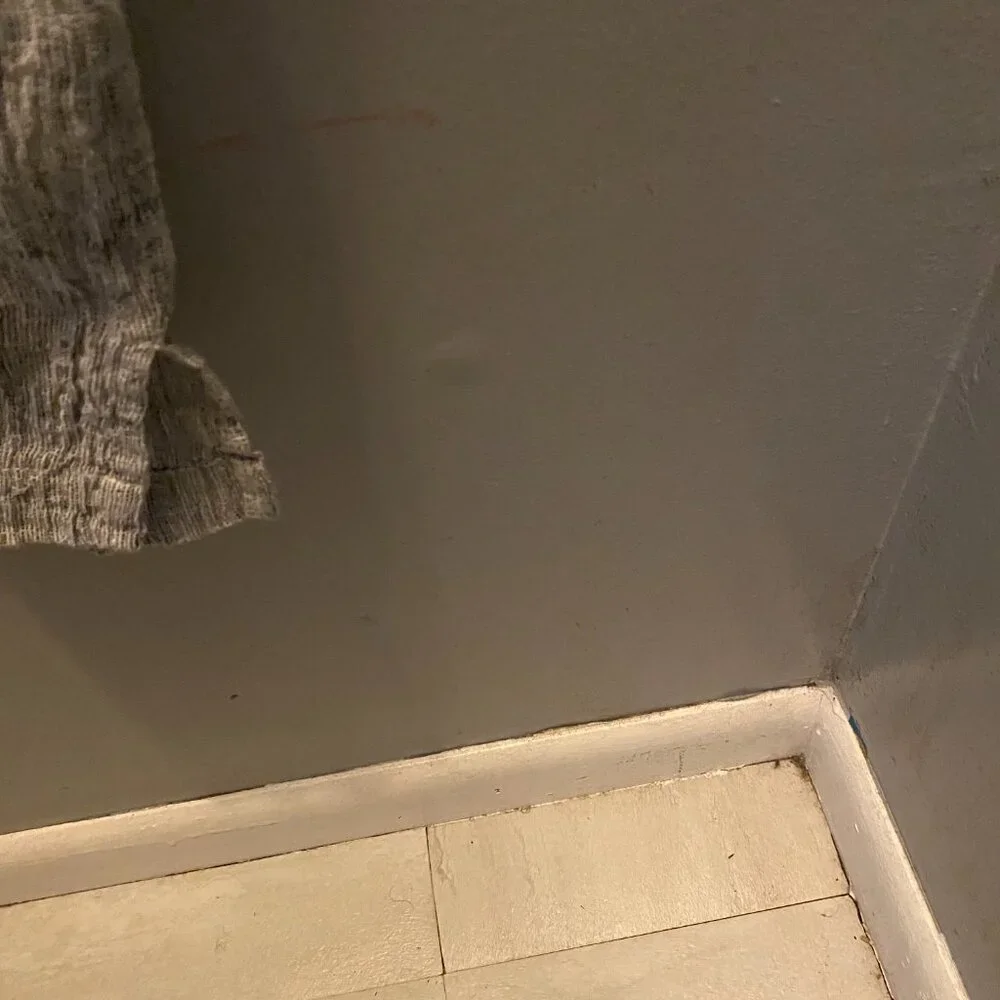 Ladies Dress - Picture 5 of 5